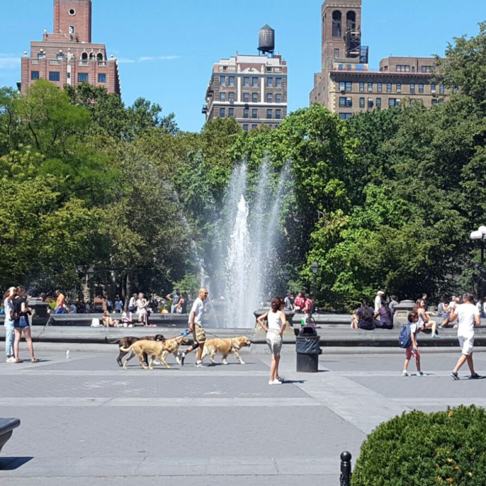 Socializzazion-evidenza Socializzazion-evidenza