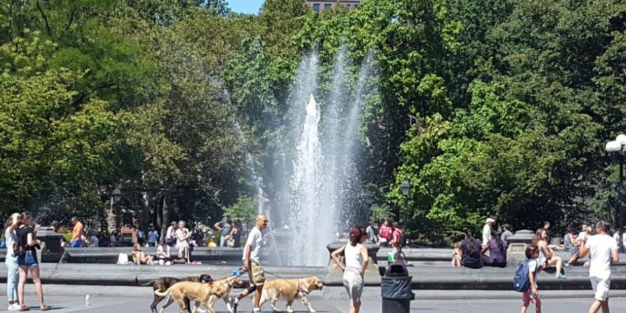 Socializzazion-evidenza