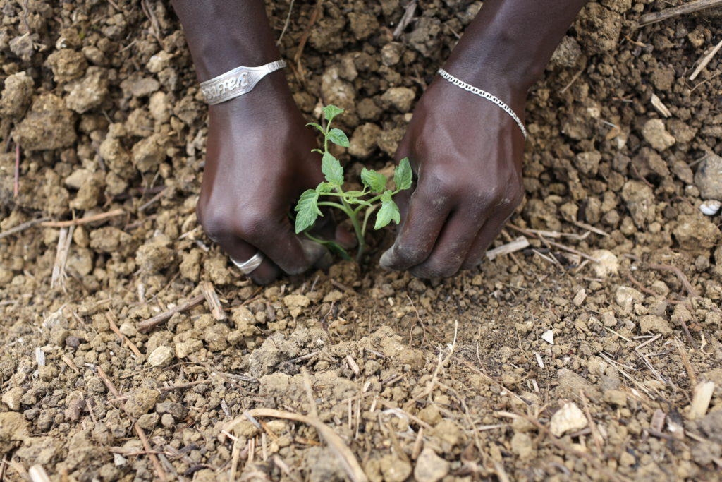La Strategia Nazionale Aree Interne considera la presenza di stranieri nella definizione delle strategie di sviluppo territoriale considerandola in termini di opportunità, apertura di comunità e mantenimento di segmenti di economia locale e di welfare.