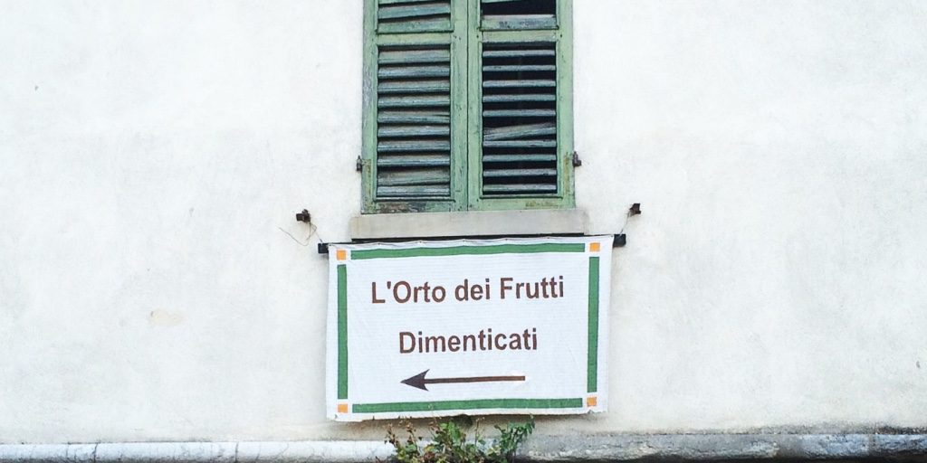 44.Focus1Pennabilli_2015