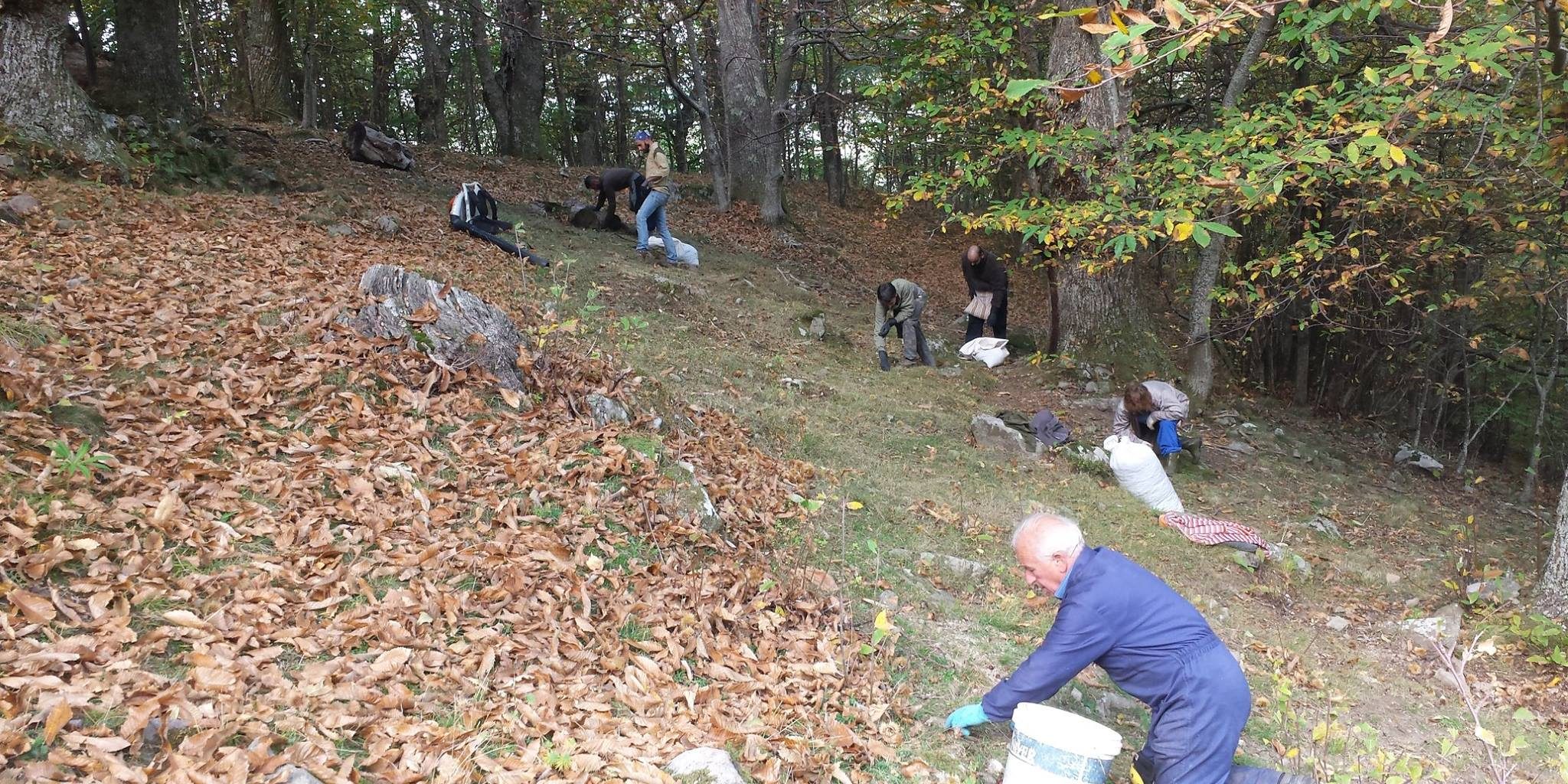 Garfagnana