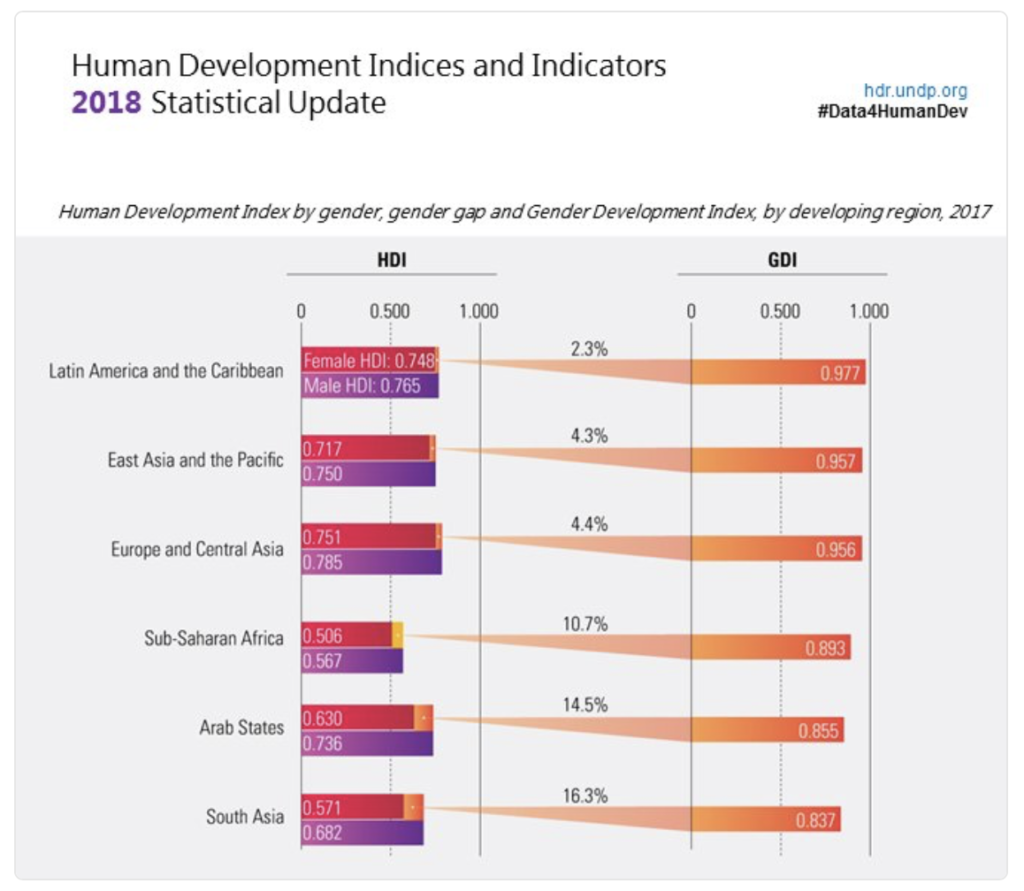 Tra tutte le regioni in via di sviluppo, il Sud Asia ha le più ampie differenze di genere, il gap nell’indice di sviluppo umano tra uomini e donne è del 16,3%. L’empowerment delle donne è ancora una sfida: le donne hanno solo il 17,5% dei seggi in parlamento, il tasso più basso tra tutte le regioni