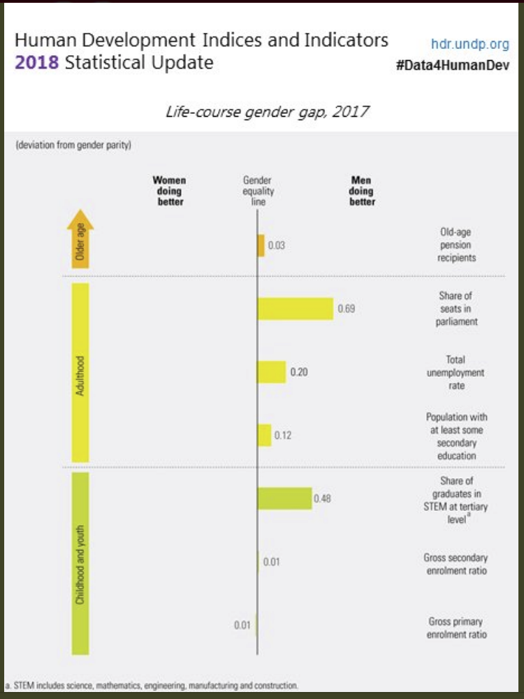 Mentre il divario di genere si sta colmando nei primi anni di vita, le disuguaglianze persistono nell'età adulta. Nel mercato del lavoro, le donne hanno tassi di disoccupazione superiori del 24% rispetto agli uomini.