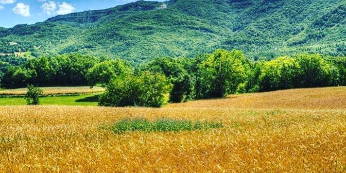 36686036_235691377221951_1529451353187811328_n