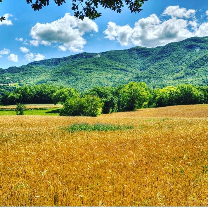 Esistono in Italia forti disuguaglianze territoriali che riguardano in particolare le aree interne del paese. La Strategia Nazionale Aree Interne supporta la sfida di amministratori locali, imprenditori e cittadini che lavorano, da protagonisti, per ridurle.