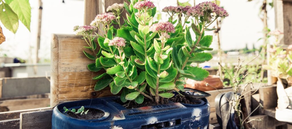 Molti scienziati sociali concordano oggi sul fatto che prendersi cura di un orto o un giardino aperto alla cittadinanza e gestito in maniera collettiva rientra a pieno titolo nelle pratiche di resistenza alla marginalizzazione economica e politica e le molteplici manifestazione della disuguaglianza sociale. 