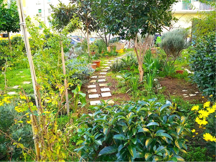 Il giardino dei lauri