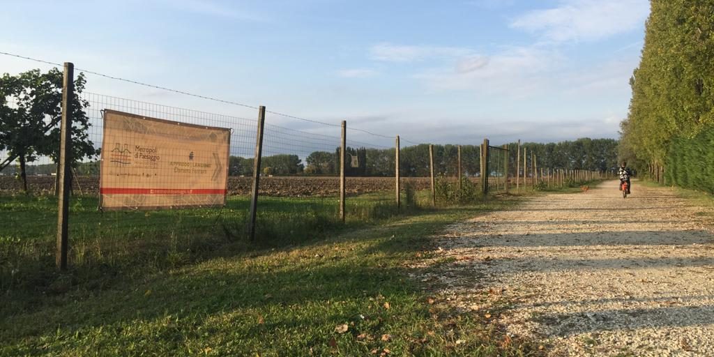 IMG-20191006-WA0010 (1)