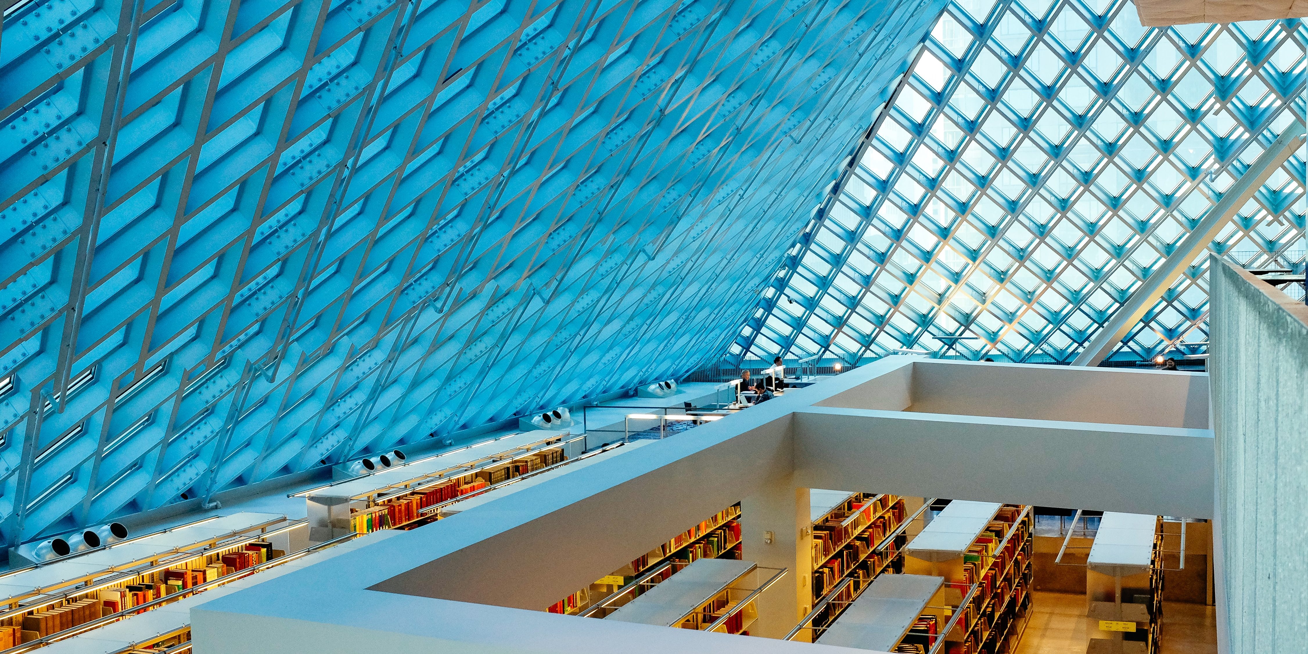 pavan-trikutam-poNsj-vya34-unsplash