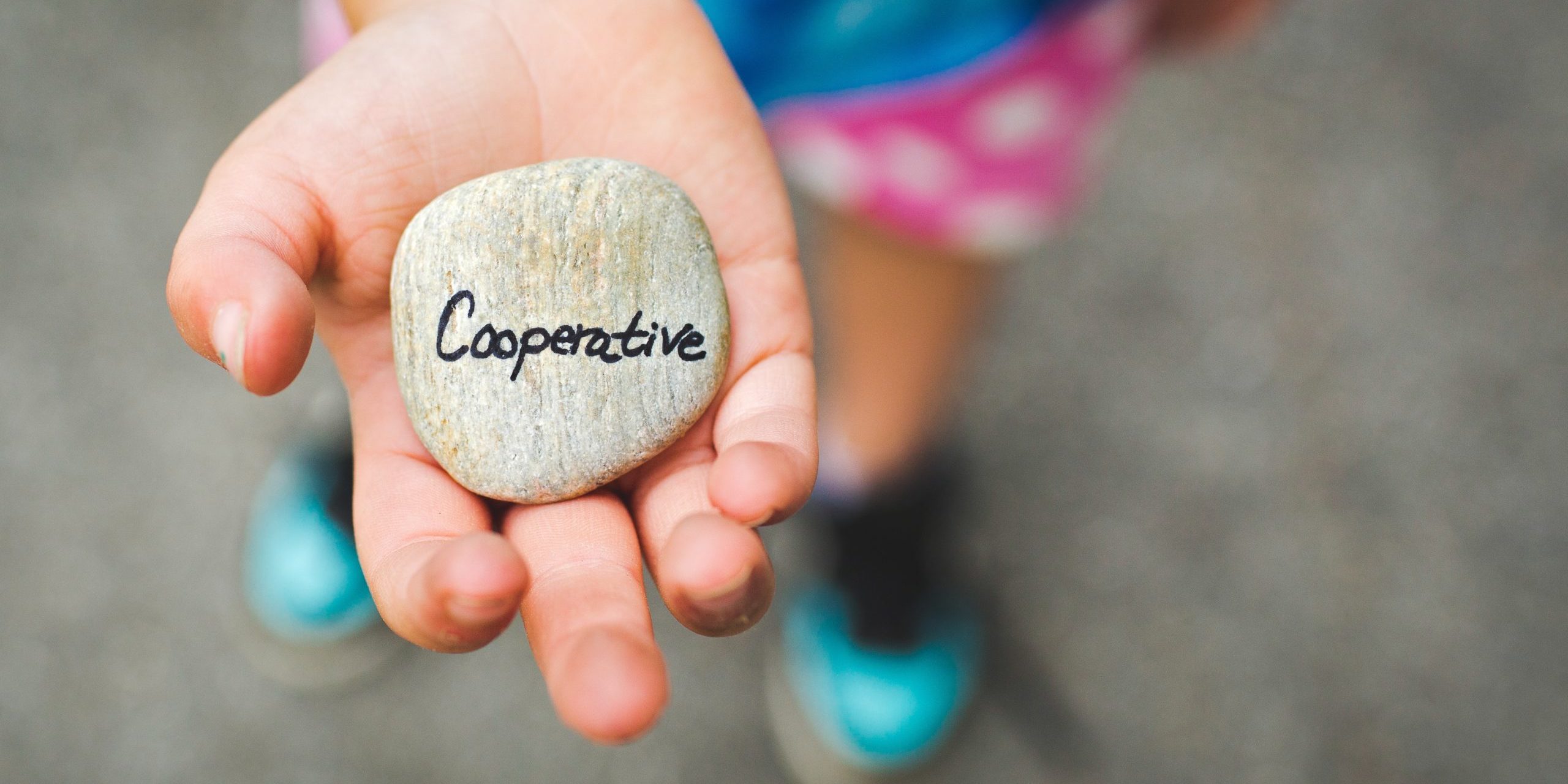 danielle-macinnes-PhD_YRuJXCM-unsplash