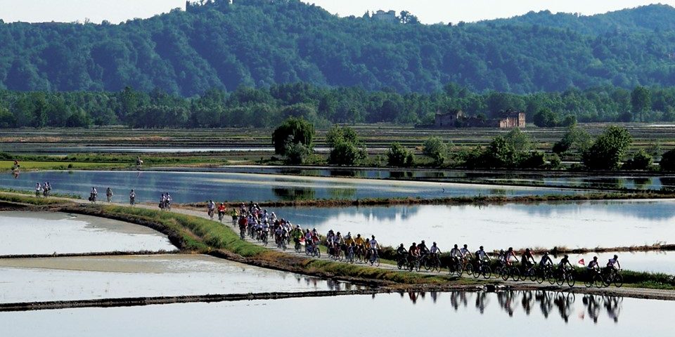 VENTO_fig2-2018_Lupone