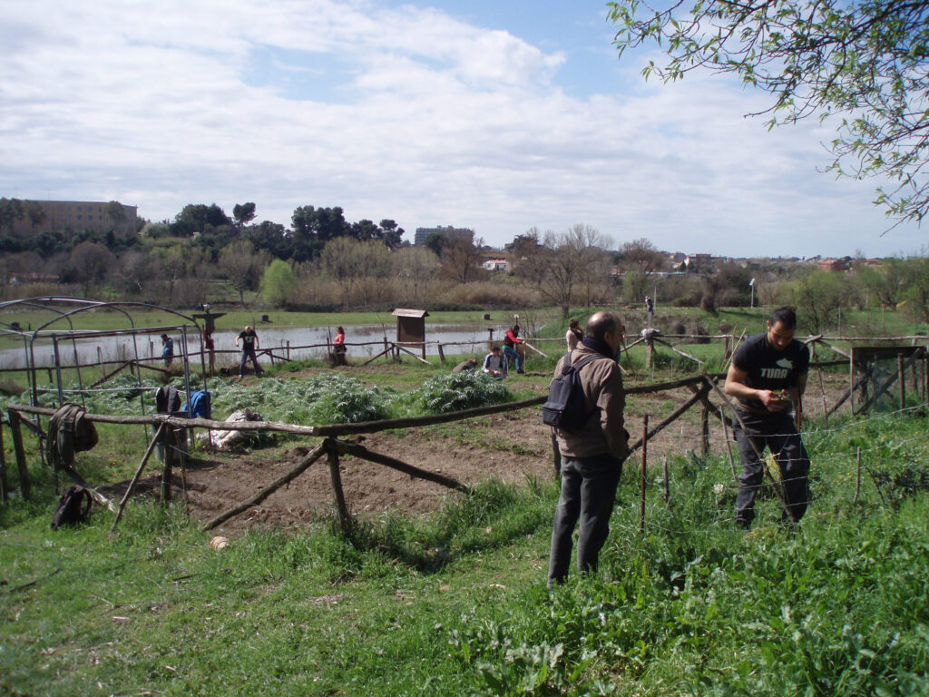 A Roma presenti molte esperienze di innovazione sociale realizzate attraverso orti e giardini condivisi, che esprimono potenzialità diverse fra cui la mitigazione delle ingiustizie spaziali e ambientali, la promozione del senso di comunità, lo stimolo alla coesione sociale, la sperimentazione di modelli innovativi di produzione e gestione dello spazio pubblico e di reti alternative di produzione e commercio alimentare, il rafforzamento degli ecosistemi urbani e della biodiversità urbana e la lotta al cambiamento climatico. Un contributo di Silvia Cioli e Luca D’Eusebio* 