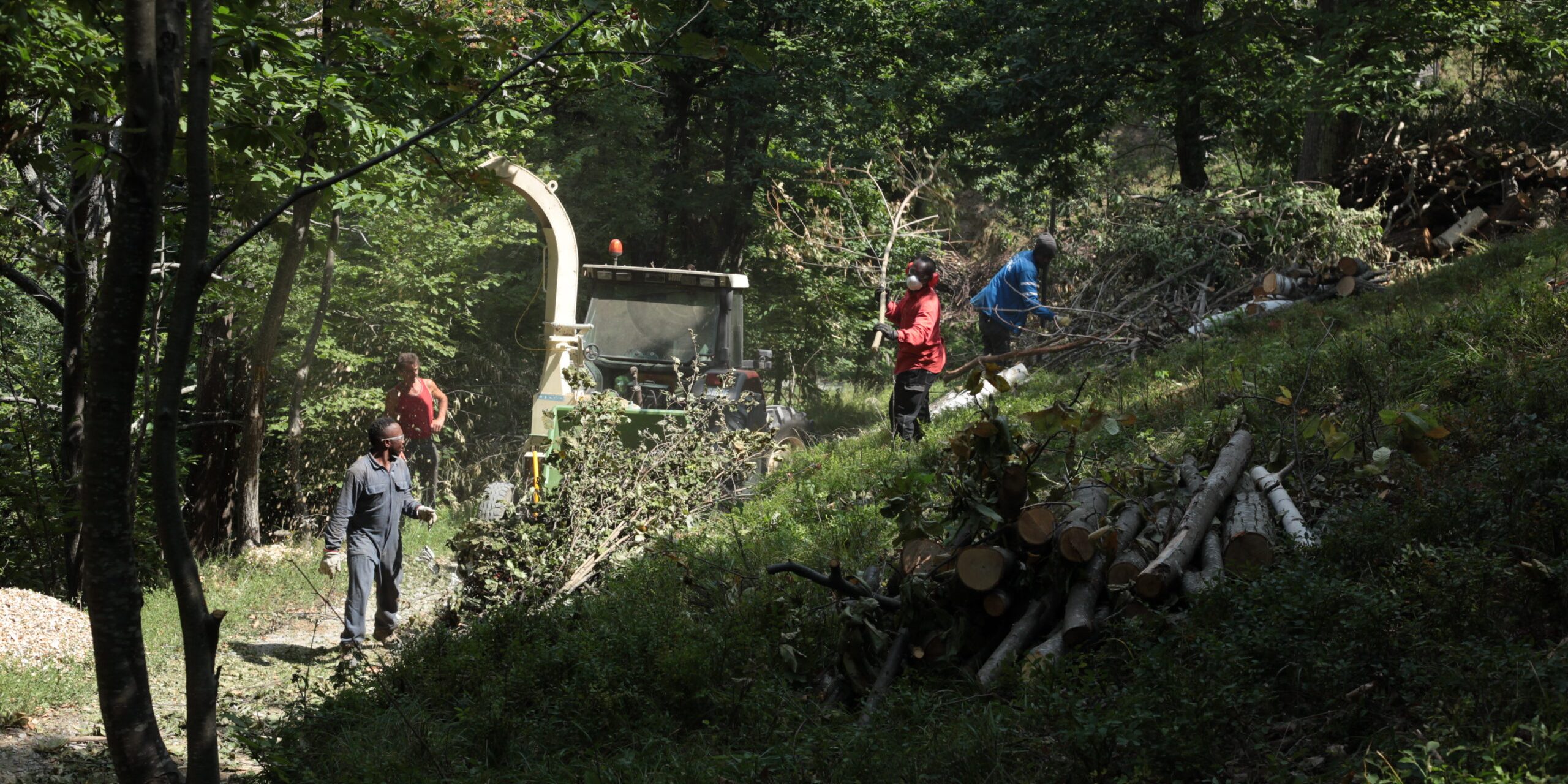 21_Cippatura_Cooperativa_VolpeMirtillo