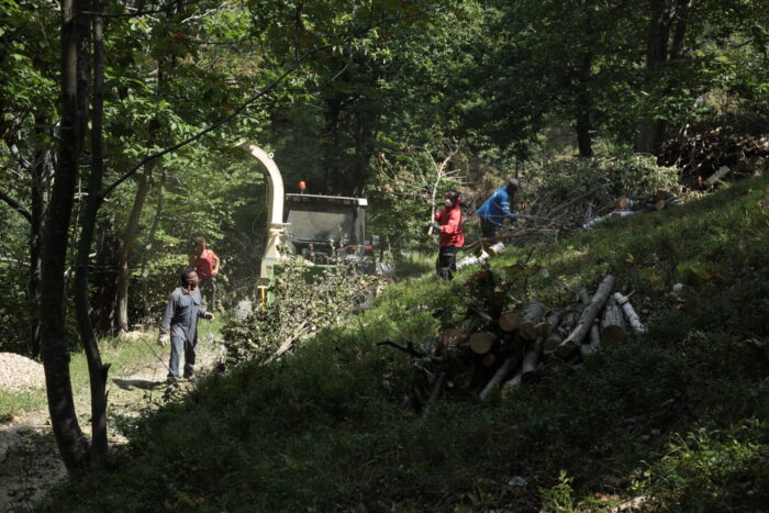 21_Cippatura_Cooperativa_VolpeMirtillo