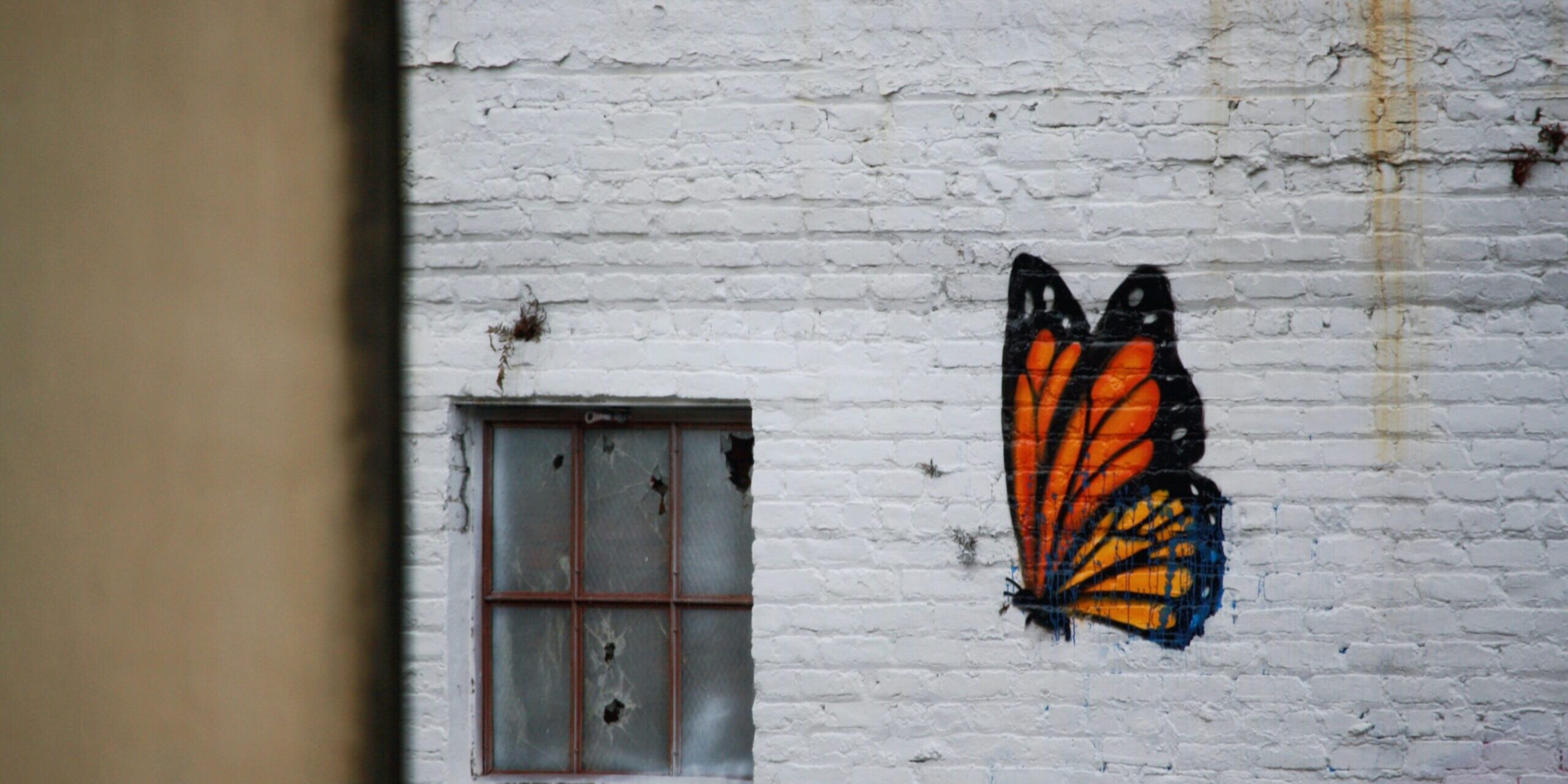 kristel-hayes-rG921Am52sg-unsplash