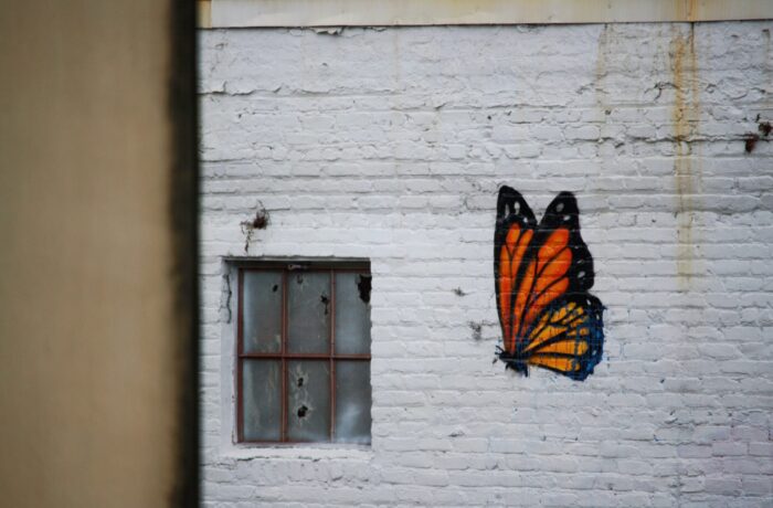 kristel-hayes-rG921Am52sg-unsplash