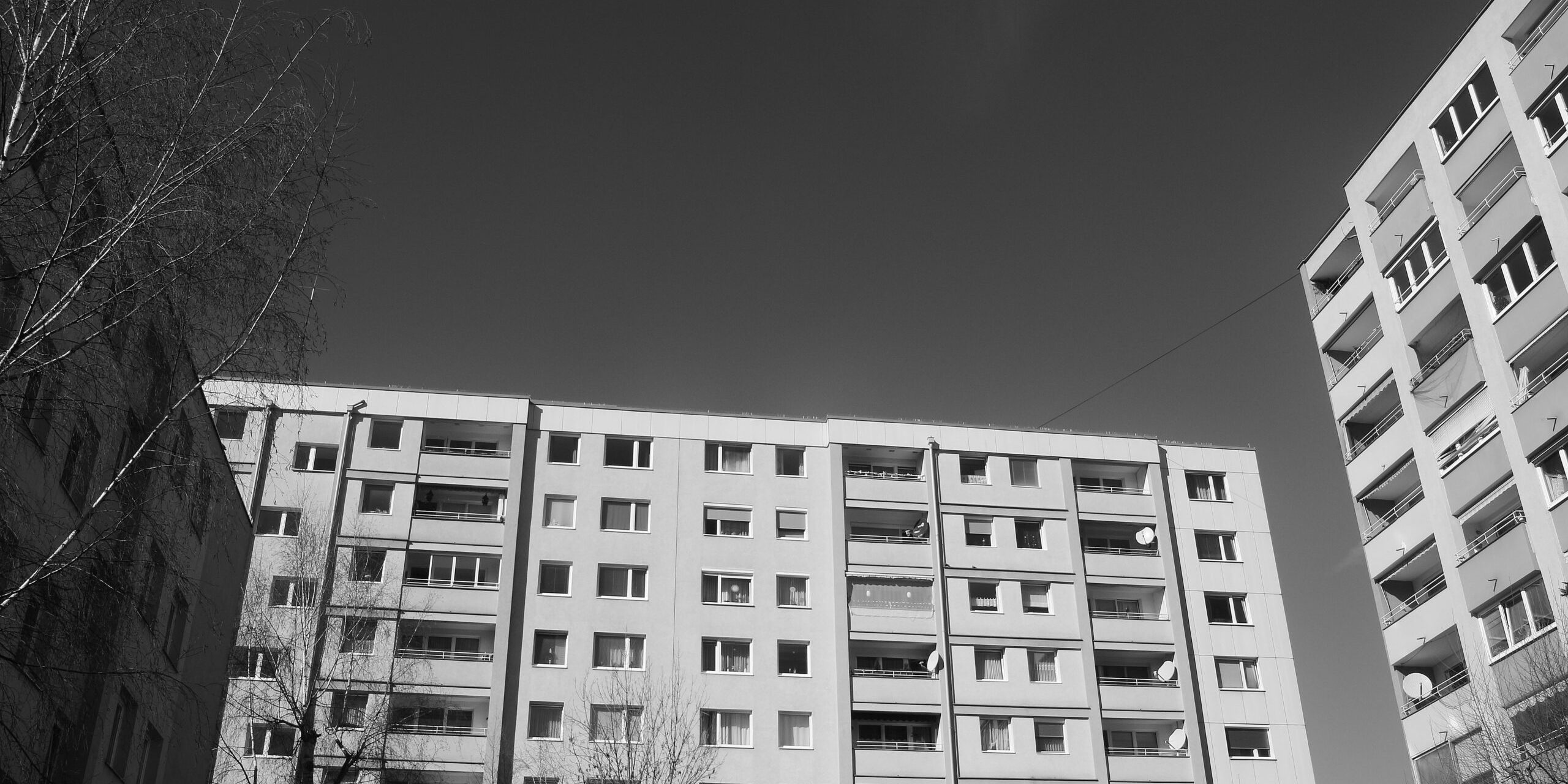 uta-scholl-o78z-4fq25o-unsplash
