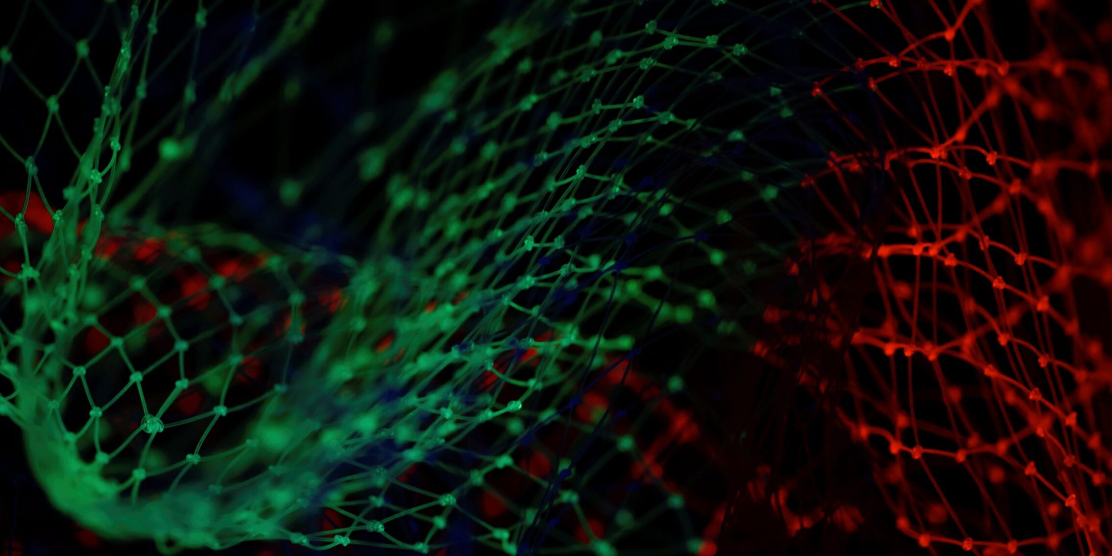 pietro-jeng-n6B49lTx7NM-unsplash