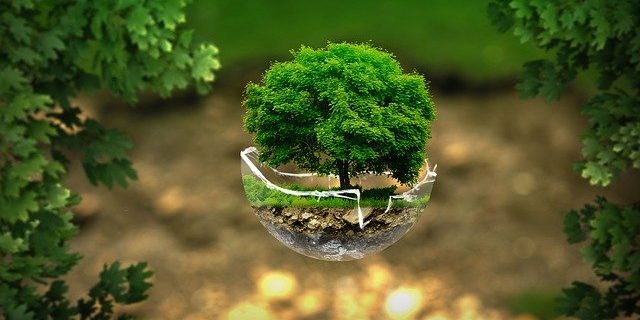 environment-2196690_640