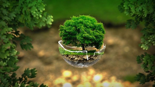 environment-2196690_640