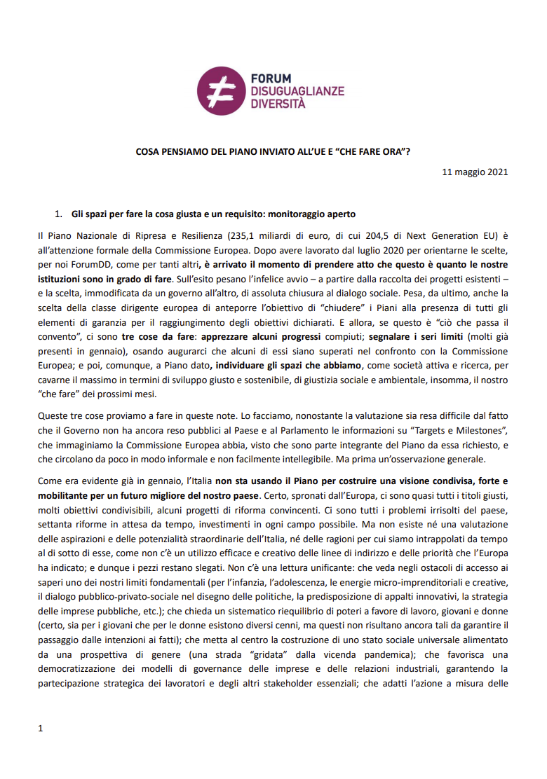 COSA PENSIAMO DEL PIANO INVIATO ALL’UE E “CHE FARE ORA”?