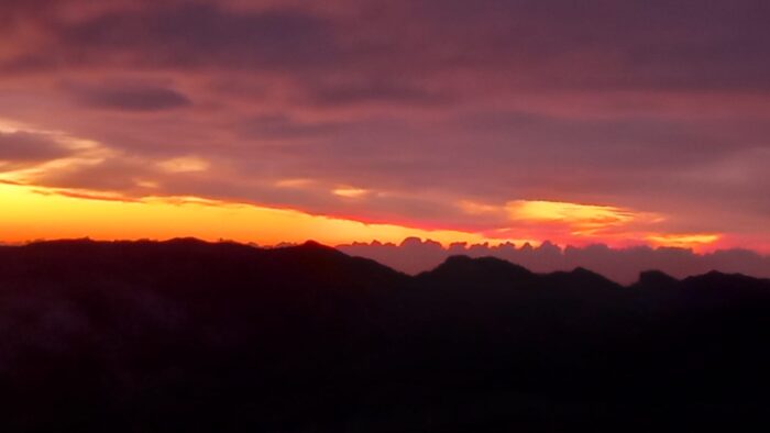 Alba_01-01-2022