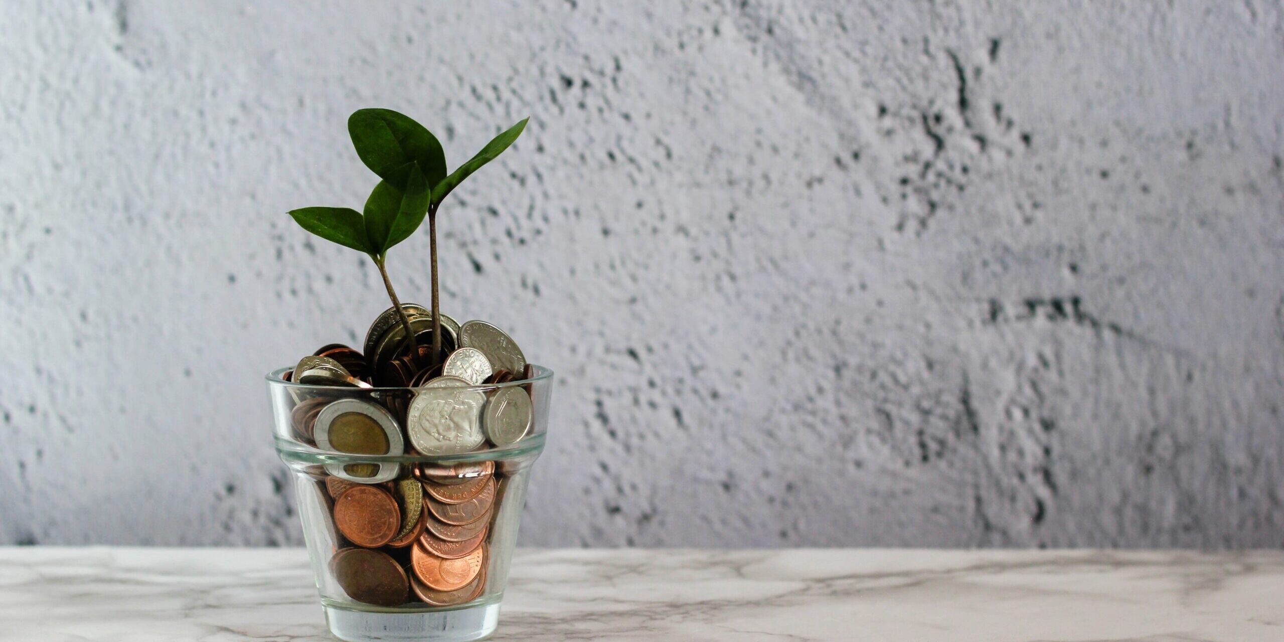 La proposta dell’eredità universale del ForumDD al confronto “Real Utopias for a Social Europe: Universal Benefits” della Commissione Europea