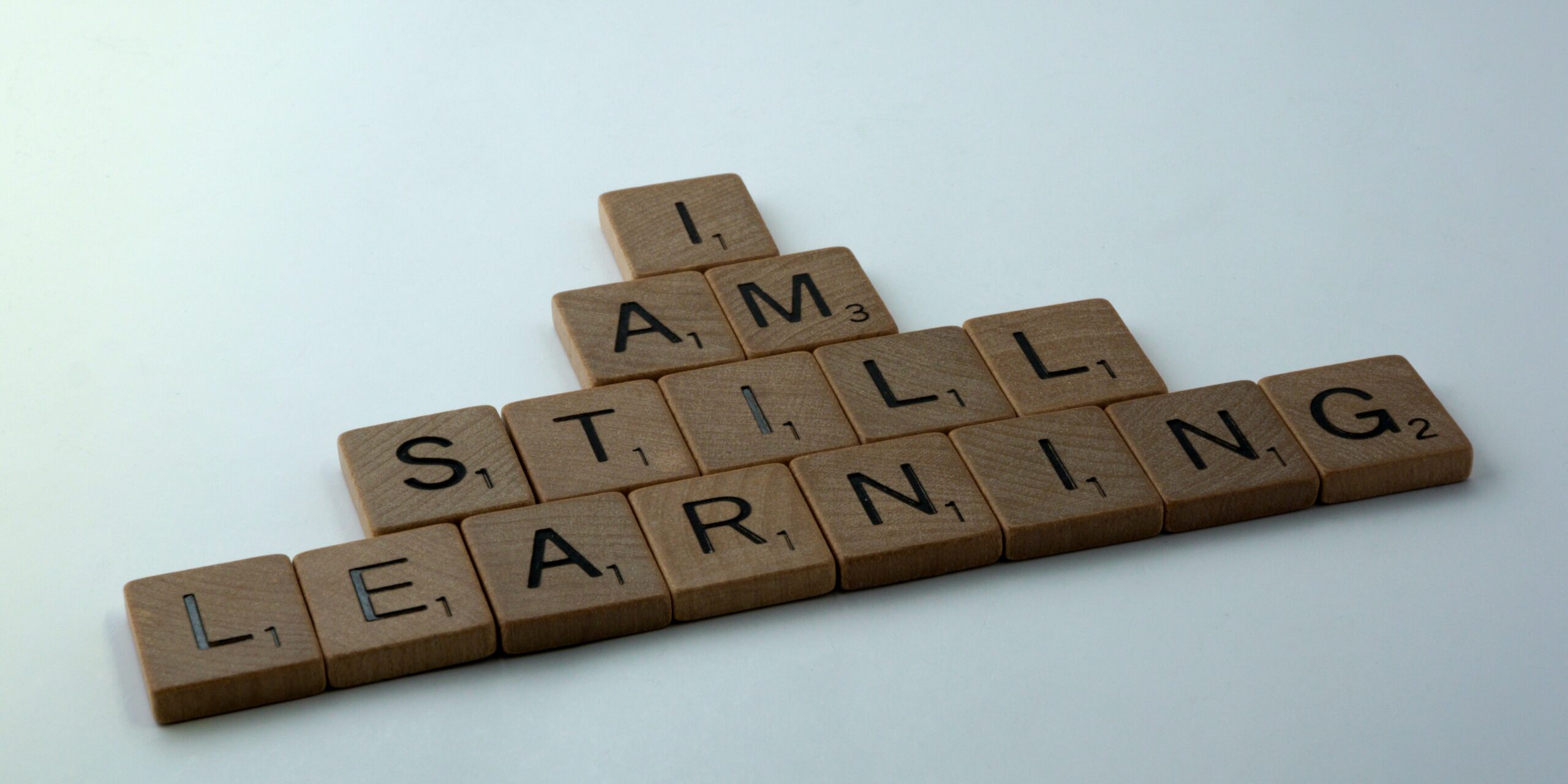 La scuola del ForumDD: un processo di apprendimento circolare