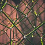 Centro Ricerche Enrico Fermi e Forum Disuguaglianze e Diversità