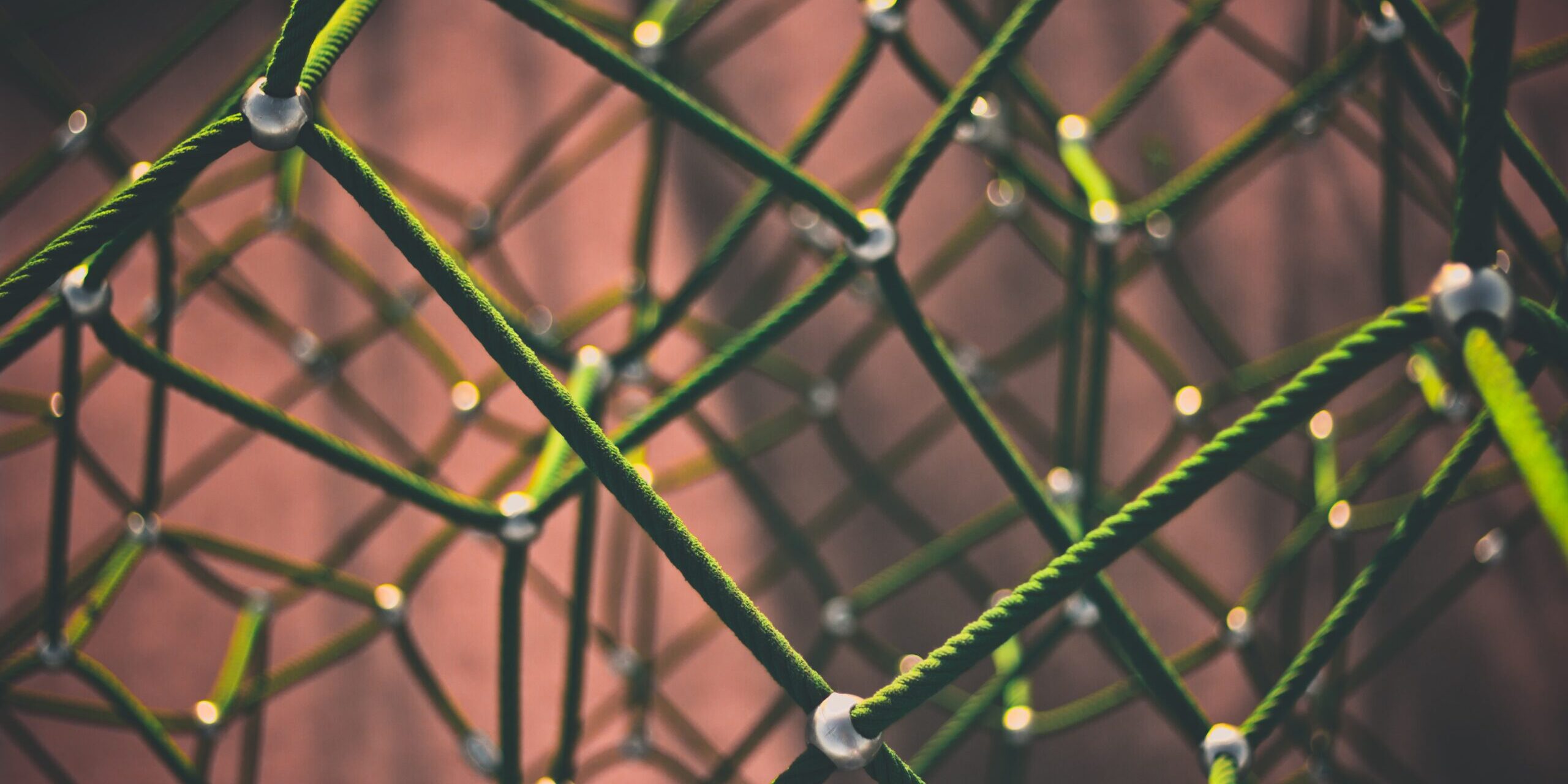 clint-adair-BW0vK-FA3eg-unsplash-scaled Centro Ricerche Enrico Fermi e Forum Disuguaglianze e Diversità