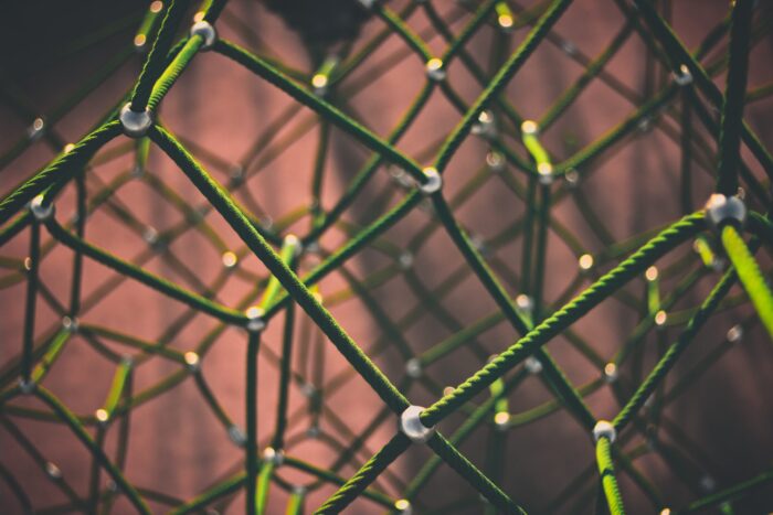 clint-adair-BW0vK-FA3eg-unsplash-scaled Centro Ricerche Enrico Fermi e Forum Disuguaglianze e Diversità