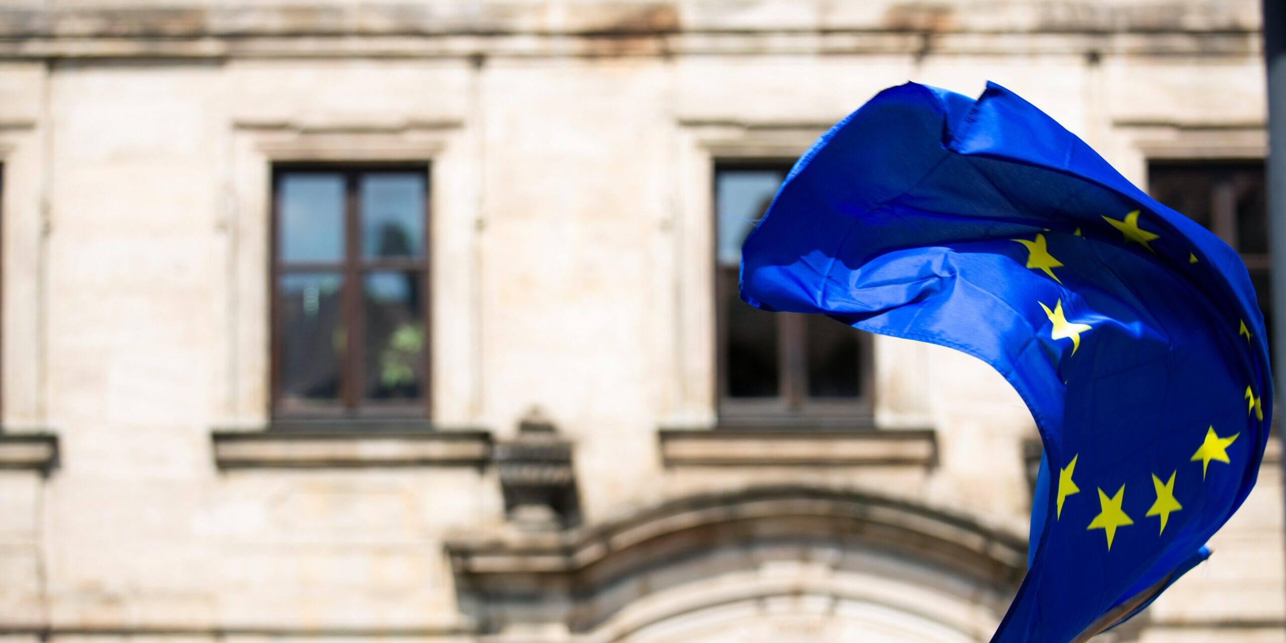 Sustainable Due Diligence su diritti umani e ambiente: il commento del ForumDD alla Direttiva del Parlamento e del Consiglio europeo con il richiamo alla proposta sui Consigli del lavoro e della cittadinanza