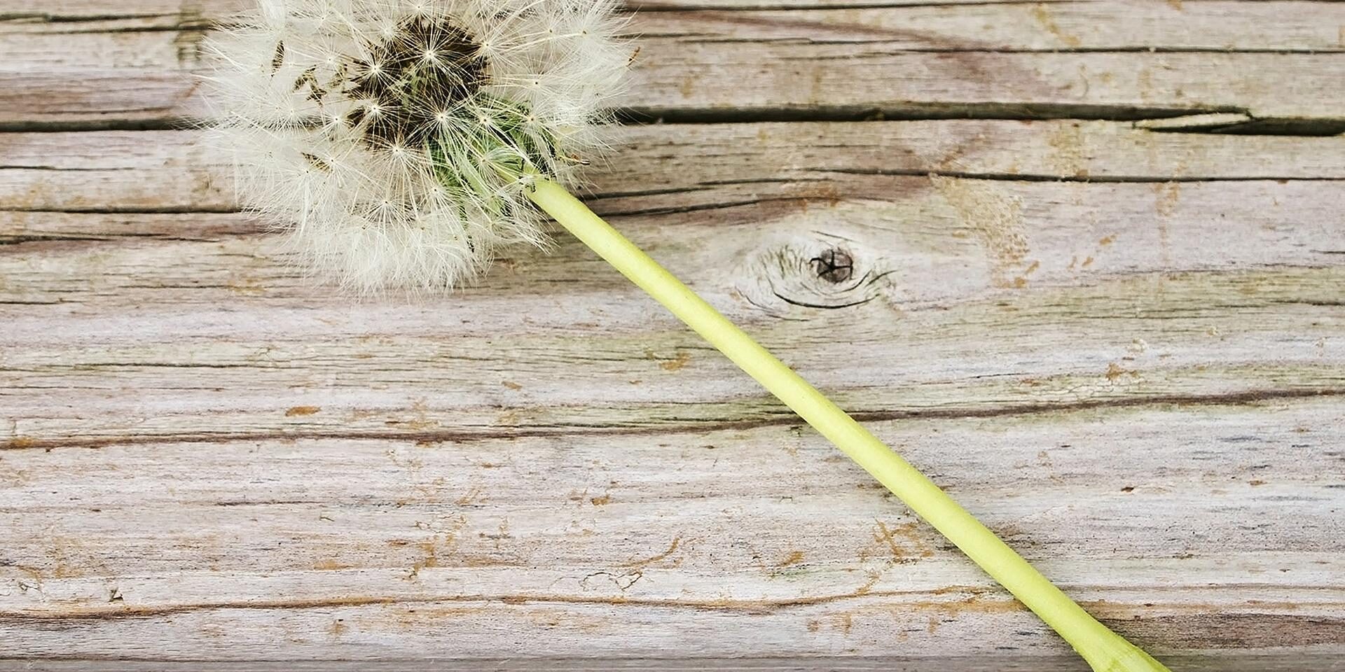 Per essere agenti di cambiamento bisogna essere ribelli e innovatori. E accogliere vulnerabilità e fallimenti