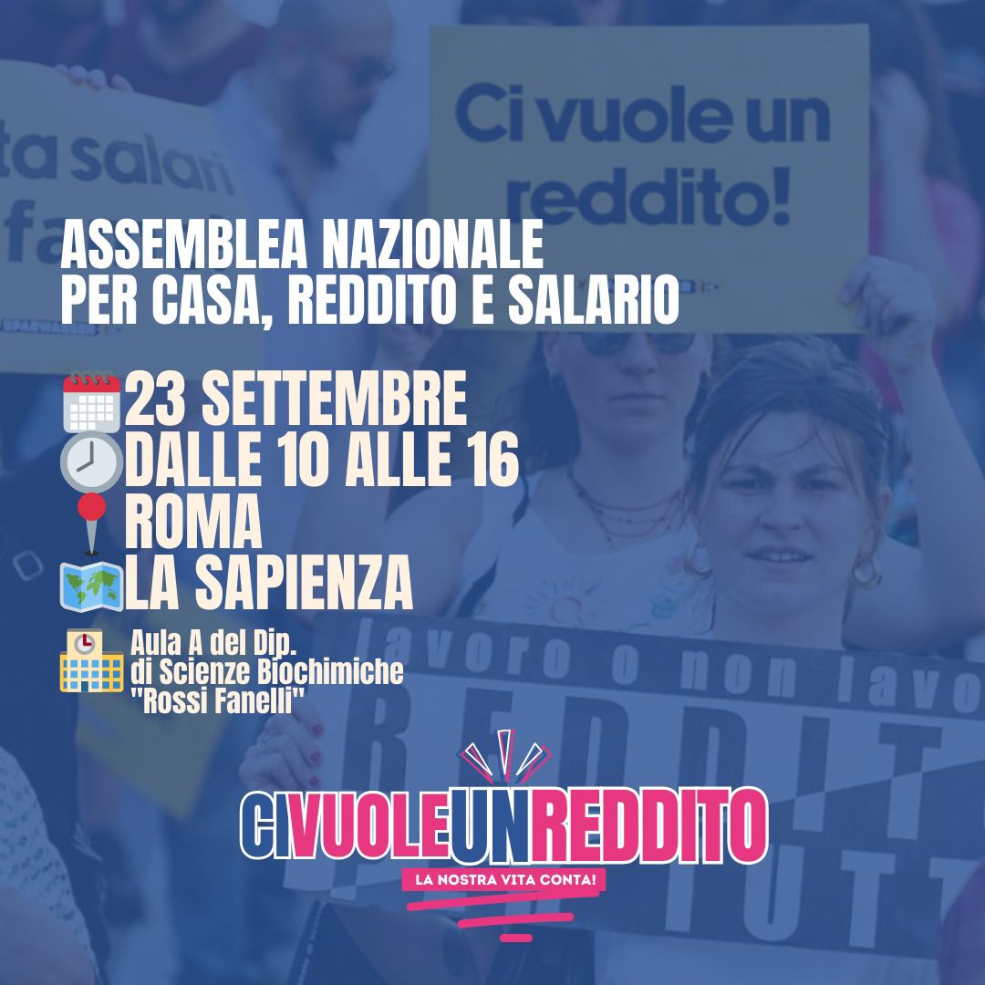 ci vuole un reddito card 1