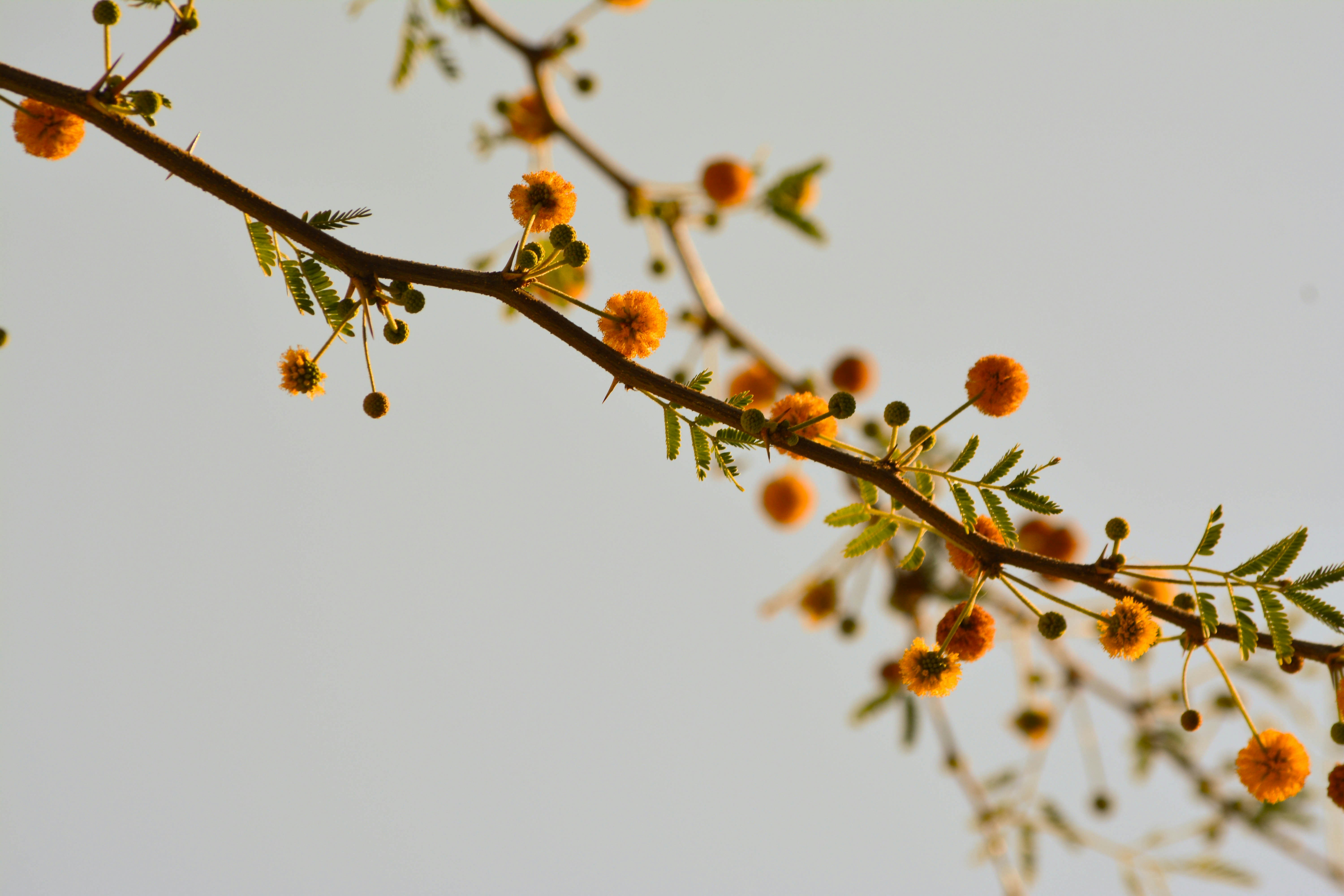 christina-deravedisian-8LdgwvGmBTM-unsplash