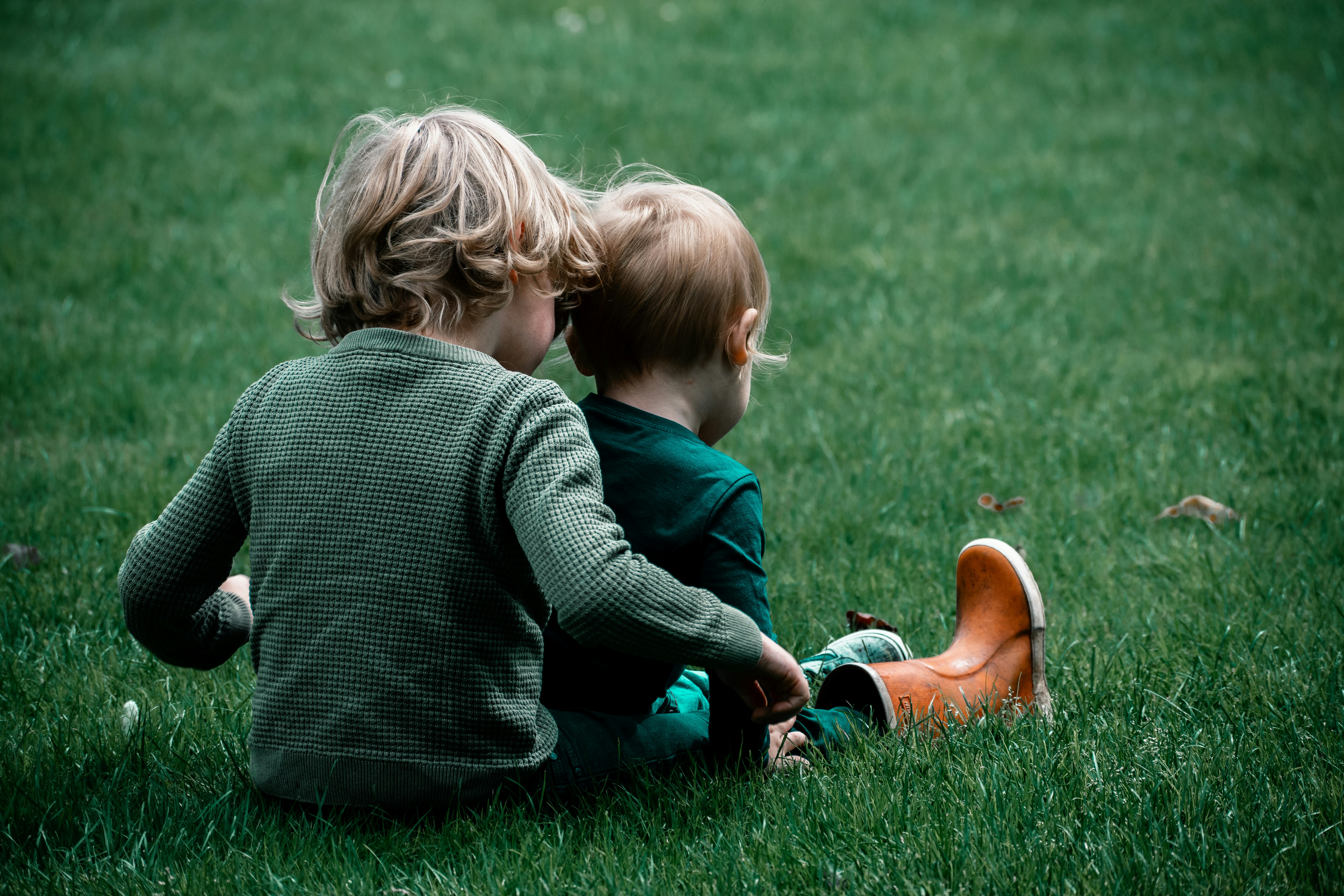 dieter-van-hammee-KuHPCIqXA-M-unsplash